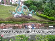 Philippine-Women-1177