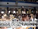 women tour yalta 0704 30